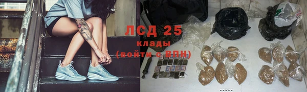 сатива Белокуриха