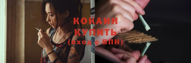 сатива Белокуриха