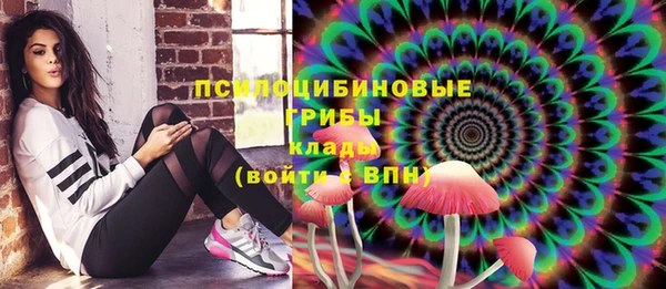 сатива Белокуриха