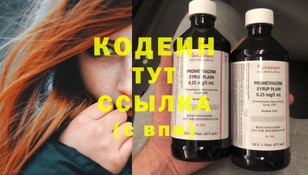 сатива Белокуриха