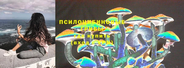2c-b Белоозёрский