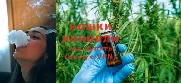 сатива Белокуриха