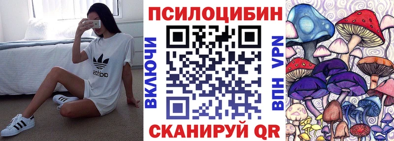 купить наркоту  Котово  Псилоцибиновые грибы Psilocybe 